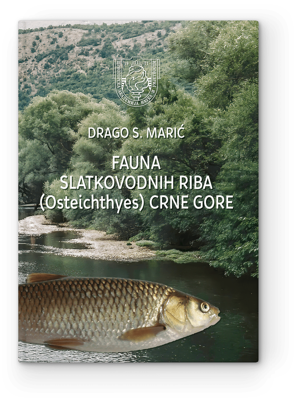 685-DM-Fauna-sl-riba-CG