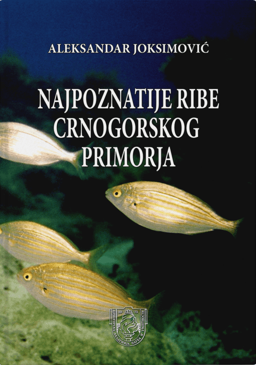 Aleksandar Joksimović: Najpoznatije ribe crnogorskog primorja